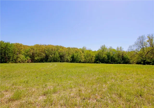 Homes for sale in Berryville, AR | 000 Us 62 Spur, Berryville, AR 72616 | MLS# 1338047