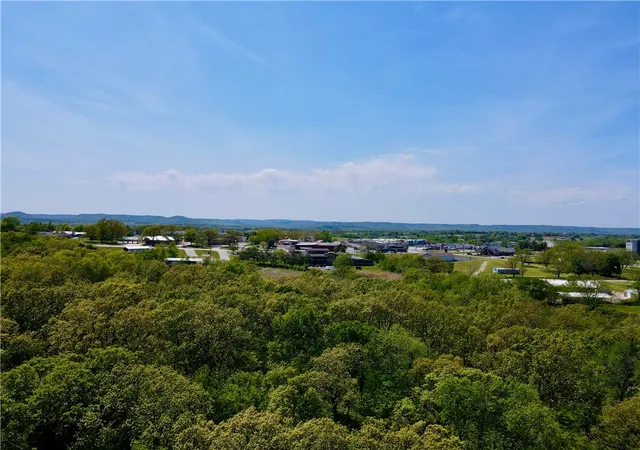Photo 3 of Land for sale at 000 Us 62 Spur, Berryville, AR 72616 | MLS# 1338047 | Listing updated on 2026-03-05