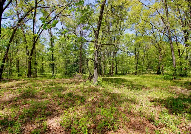 Homes for sale in Berryville, AR | 00 Garner Ln, Berryville, AR 72616 | MLS# 1338048