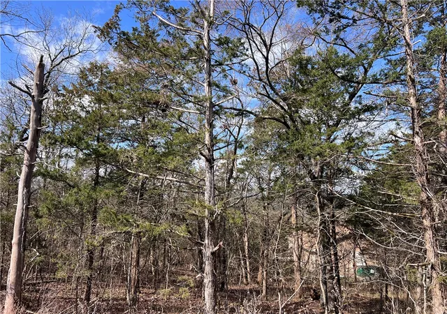 Homes for sale in Eureka Springs, AR | Hillside Dr, Eureka Springs, AR 72631 | MLS# 1338083