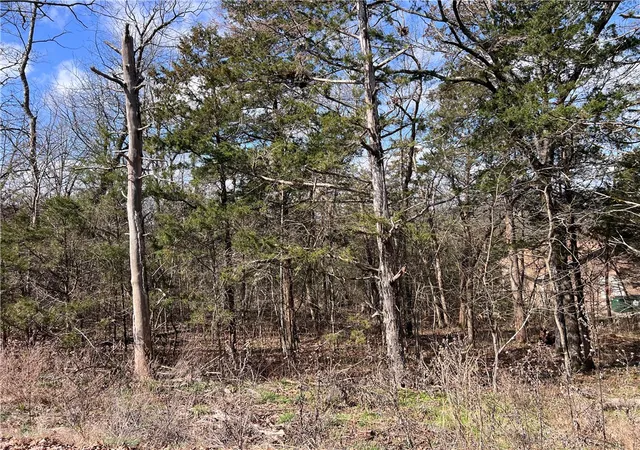 Homes for sale in Eureka Springs, AR | Hillside Dr, Eureka Springs, AR 72631 | MLS# 1338083