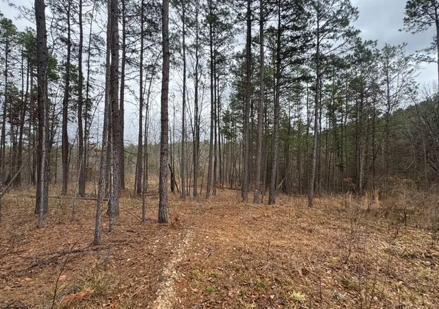12th image of Tbd Nc 3050, Jasper, AR 72641 | MLS# 1338146