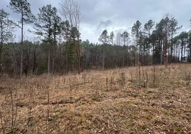 1st image of Tbd Nc 3050, Jasper, AR 72641 | MLS# 1338146