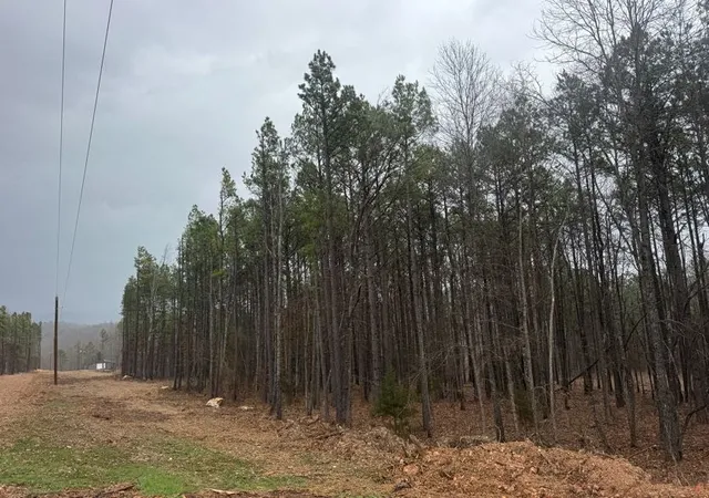 3rd image of Tbd Nc 3050, Jasper, AR 72641 | MLS# 1338146