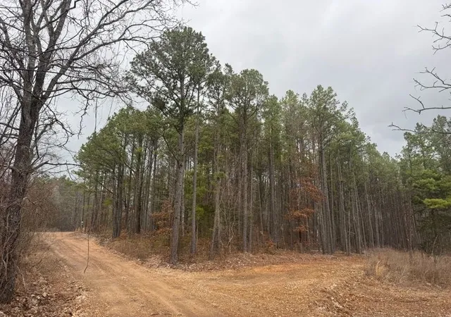 4th image of Tbd Nc 3050, Jasper, AR 72641 | MLS# 1338146