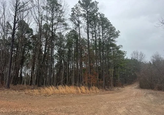 5th image of Tbd Nc 3050, Jasper, AR 72641 | MLS# 1338146