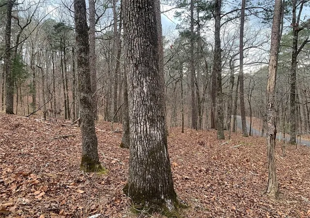 3rd image of Lerida Cir, Hot Springs, AR 71909 | MLS# 1338540