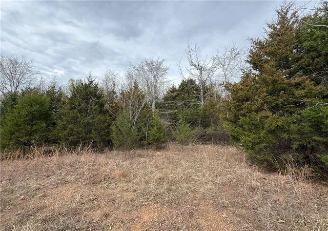 Photo 3 of House for sale at Tbd Furniture Rd, Russellville, AR 72802 | MLS# 1338543 | Listing updated on 2026-05-28