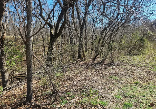 Photo 4 of Land for sale at 1307 Honeysuckle St, Lowell, AR 72745 | MLS# 1338576 | Listing updated on 2026-03-16