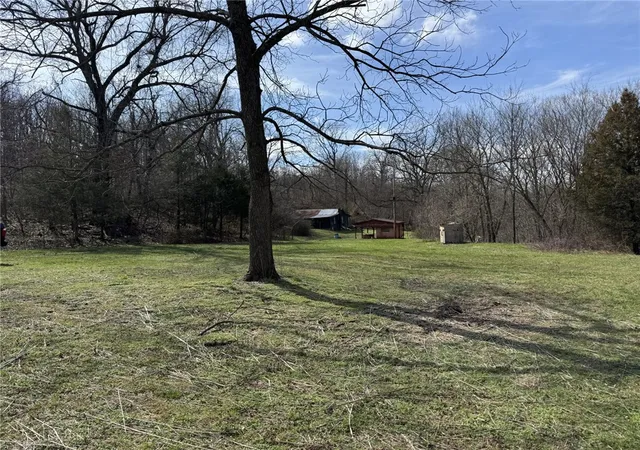 Homes for sale in Exeter, MO | 421 Farm Road 2160, Exeter, MO 65647 | MLS# 1338477
