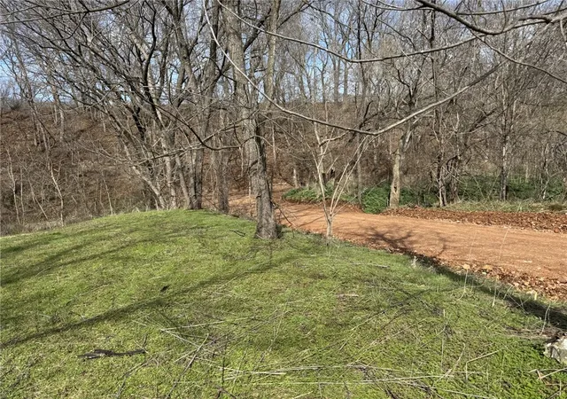 Homes for sale in Exeter, MO | 421 Farm Road 2160, Exeter, MO 65647 | MLS# 1338477