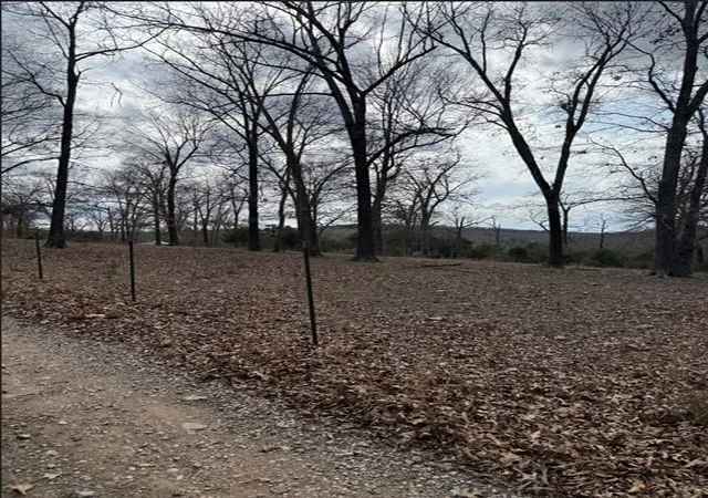 2nd image of 19501 Douglas Cvs, Lead Hill, AR 72644 | MLS# 1338650
