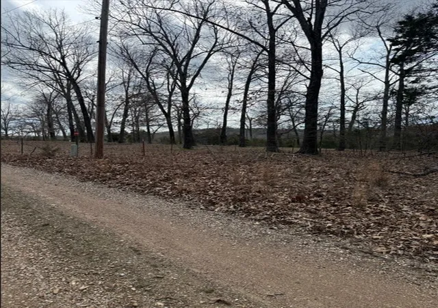 3rd image of 19501 Douglas Cvs, Lead Hill, AR 72644 | MLS# 1338650