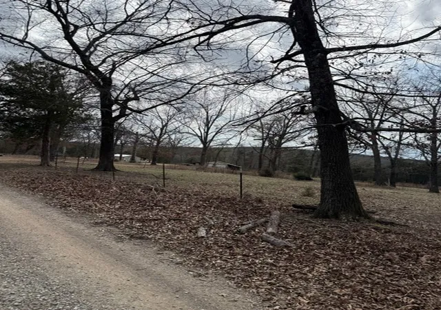 4th image of 19501 Douglas Cvs, Lead Hill, AR 72644 | MLS# 1338650
