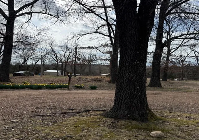 5th image of 19501 Douglas Cvs, Lead Hill, AR 72644 | MLS# 1338650