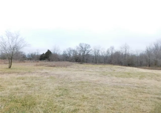 1st image of 14593 It'll Do Rd, Pea Ridge, AR 72751 | MLS# 1338767