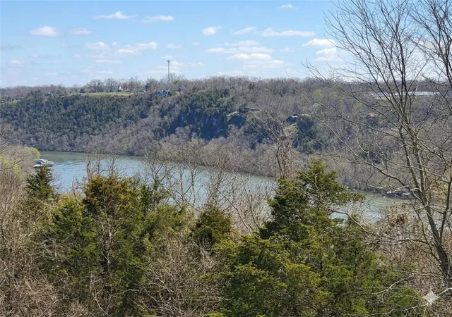 Homes for sale in Branson, MO | 1367 Mtn Grove Rd, Branson, MO 65616 | MLS# 1338643