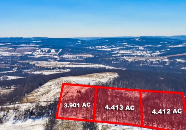 Homes for sale in Hindsville, AR | 2034 Madison County Rd 7075, Hindsville, AR 72738 | MLS# 1338966