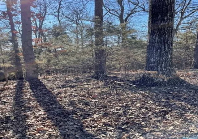 Photo 4 of Land for sale at Rocky Top Cir, Eureka Springs, AR 72631 | MLS# 1339088 | Listing updated on 2026-03-12