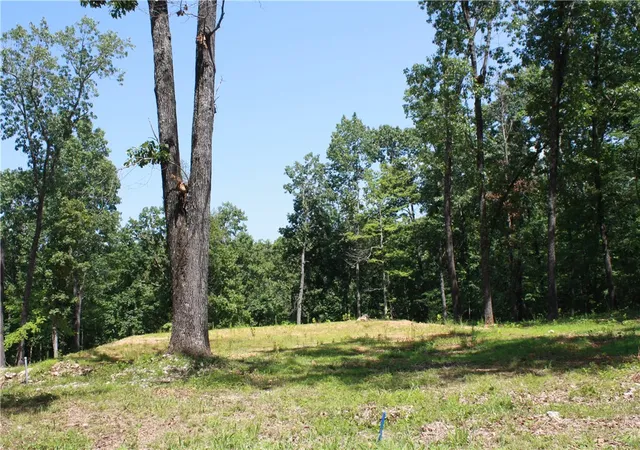 Homes for sale in Midway, AR | 263 S South St, Midway, AR 72651 | MLS# 1339217