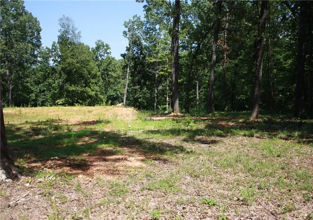 Homes for sale in Midway, AR | 263 S South St, Midway, AR 72651 | MLS# 1339217