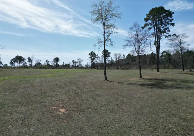 Homes for sale in Dover, AR | 11 Jolea Beth Loop, Dover, AR 72837 | MLS# 1339239