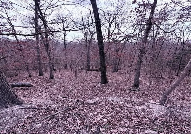 image of Lot 12 & 13 Hoyer Ln, Bella Vista, AR 72714 | MLS# 1337647