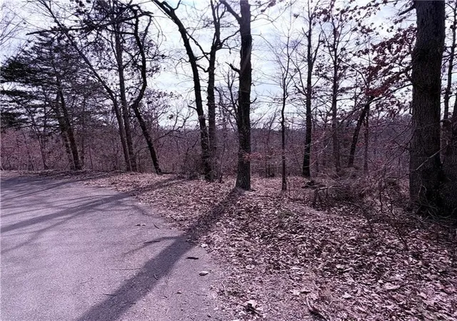 image of Lot 12 & 13 Hoyer Ln, Bella Vista, AR 72714 | MLS# 1337647