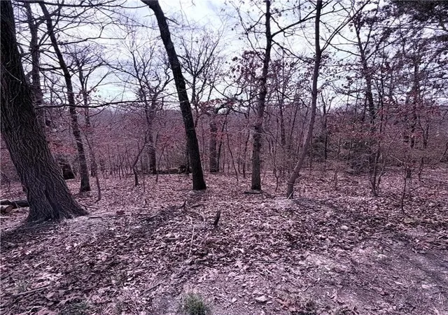 image of Lot 12 & 13 Hoyer Ln, Bella Vista, AR 72714 | MLS# 1337647