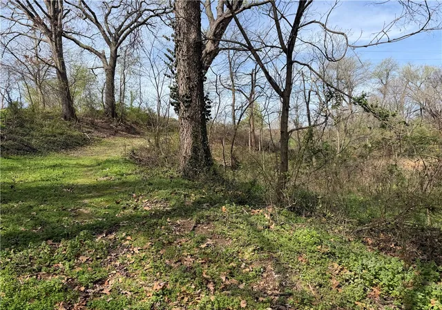 Homes for sale in Decatur, AR | N Ar 59 Hwy, Decatur, AR 72722 | MLS# 1339254