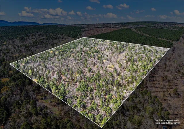 Photo 3 of Land for sale at Riverside Rd, Delaware, AR 72835 | MLS# 1339163 | Listing updated on 2026-09-15