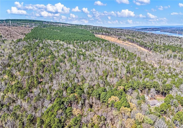 6th image of Riverside Rd, Delaware, AR 72835 | MLS# 1339163