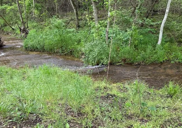 24th image of 3437 County Road 995, Green Forest, AR 72638 | MLS# 1339143