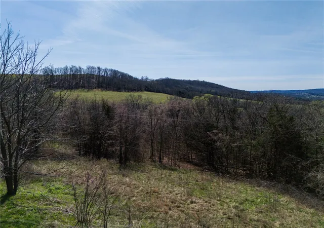 42nd image of 3369 Cr 608, Berryville, AR 72616 | MLS# 1339109