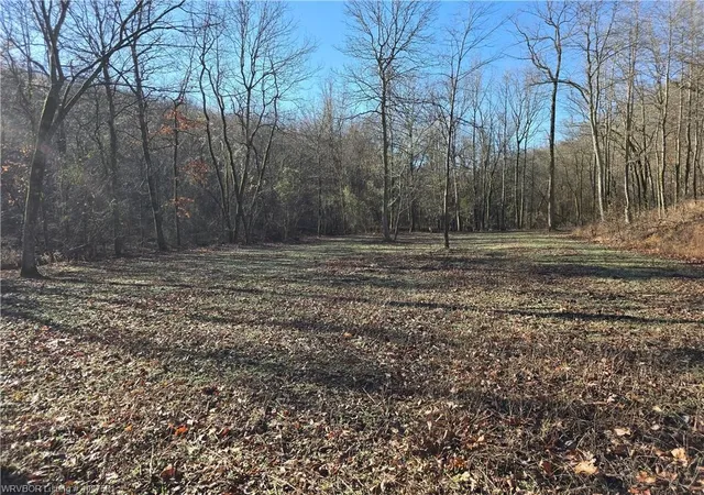 2nd image of Tbd Big Bear Canyon Trl, Chester, AR 72934 | MLS# 1339768
