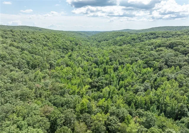 38th image of Tbd Big Bear Canyon Trl, Chester, AR 72934 | MLS# 1339768