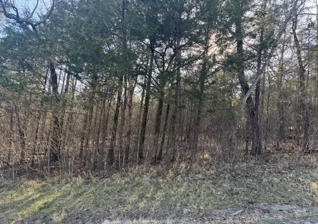 Homes for sale in Holiday Island, AR | 1 Table Rock/cottonwood Dr, Holiday Island, AR 72631 | MLS# 1340081
