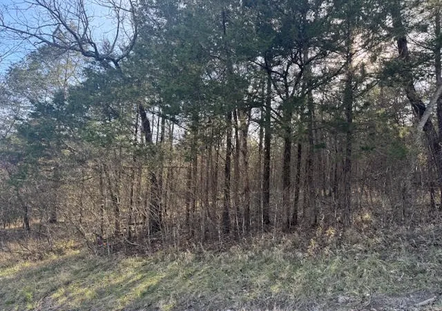 Homes for sale in Holiday Island, AR | 1 Table Rock/cottonwood Dr, Holiday Island, AR 72631 | MLS# 1340081