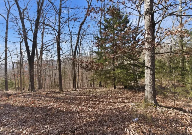 Homes for sale in Eureka Springs, AR | Tract 4 1601 Mundell Rd, Eureka Springs, AR 72631 | MLS# 1340115