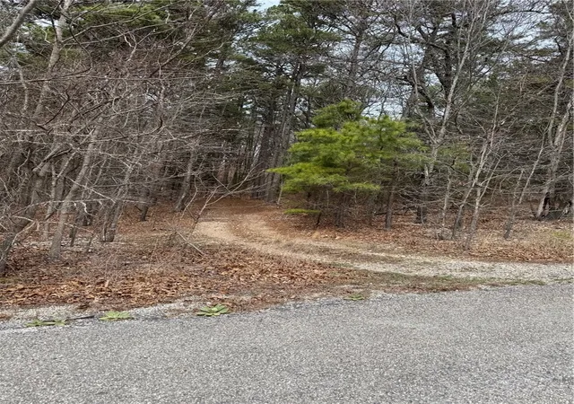3rd image of 0 Co Rd 108, Eureka Springs, AR 72632 | MLS# 1340143