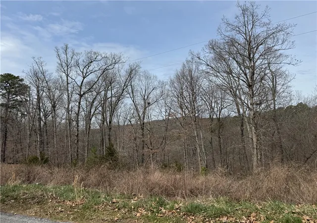 4th image of 0 Co Rd 108, Eureka Springs, AR 72632 | MLS# 1340143