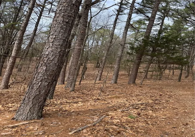 9th image of 0 Co Rd 108, Eureka Springs, AR 72632 | MLS# 1340143