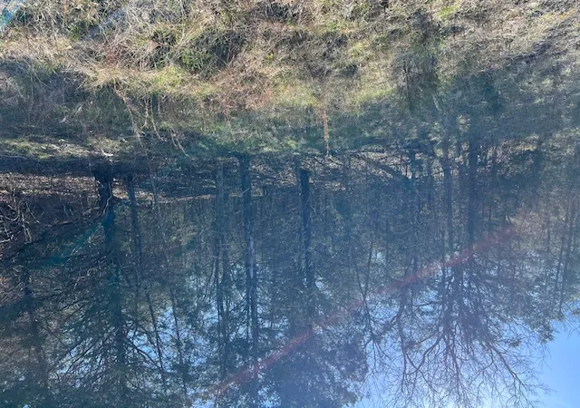 Photo 1 of Land for sale at 29 Wild Turkey Dr, Holiday Island, AR 72631 | MLS# 1340292 | Listing updated on 2026-03-24