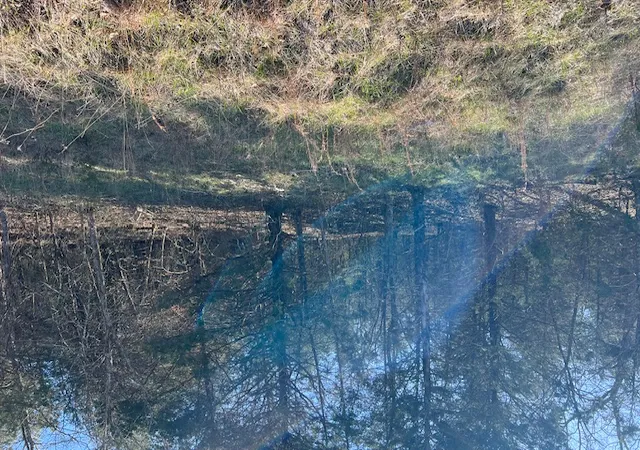 Photo 2 of Land for sale at 29 Wild Turkey Dr, Holiday Island, AR 72631 | MLS# 1340292 | Listing updated on 2026-03-24
