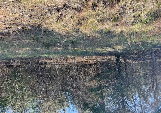 Photo 3 of Land for sale at 29 Wild Turkey Dr, Holiday Island, AR 72631 | MLS# 1340292 | Listing updated on 2026-03-24