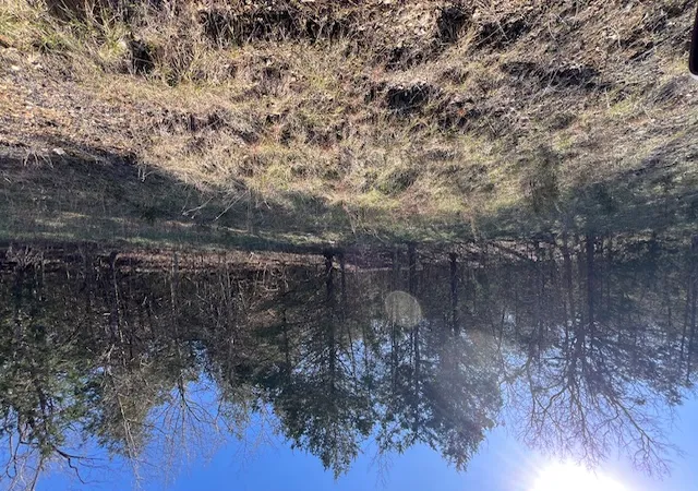 Photo 3 of Land for sale at 29 Wild Turkey Dr, Holiday Island, AR 72631 | MLS# 1340292 | Listing updated on 2026-03-24