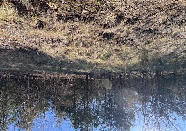 Photo 4 of Land for sale at 29 Wild Turkey Dr, Holiday Island, AR 72631 | MLS# 1340292 | Listing updated on 2026-03-24