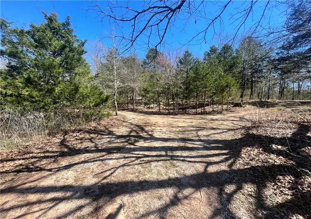 Homes for sale in Marble Falls, AR | Nc 3421, Marble Falls, AR 72648 | MLS# 1340184