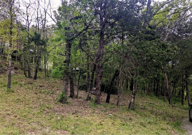 Photo 1 of Sale Pending at Tbd Leatherwood Dr, Holiday Island, AR 72631 | MLS# 1340411 | Listing updated on 2026-10-01