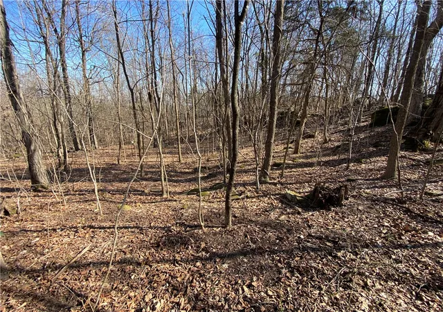 3rd image of Nc 6020, Jasper, AR 72641 | MLS# 1340488